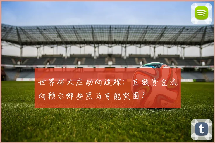 世界杯大庄动向追踪：巨额资金流向预示哪些黑马可能突围？
