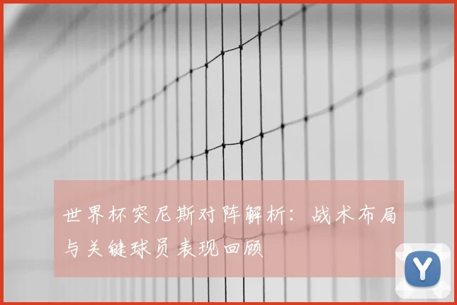 世界杯突尼斯对阵解析：战术布局与关键球员表现回顾