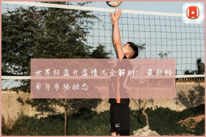 世界杯盘开盘情况全解析：最新赔率与市场动态