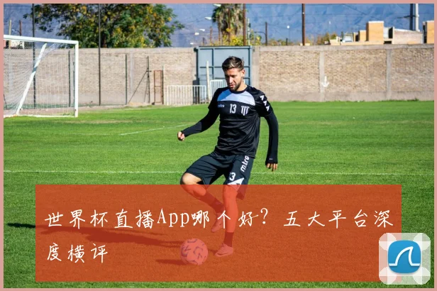 世界杯直播App哪个好？五大平台深度横评