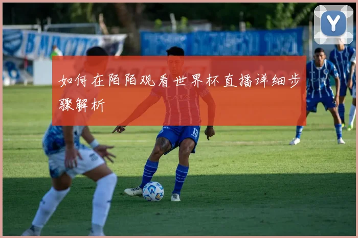 如何在陌陌观看世界杯直播详细步骤解析