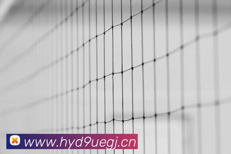 StarSky Sports平台生态图